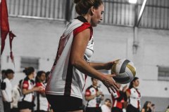 IMG_3908