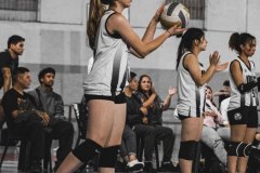 IMG_3980
